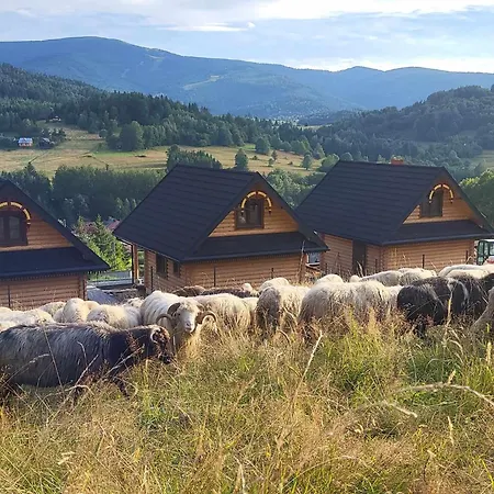Chalet Pod Pilskiem - Sauna I Jacuzzi W Cenie - Krzyzowki - *