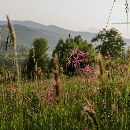 Pod Pilskiem - Sauna I Jacuzzi W Cenie Korbielów