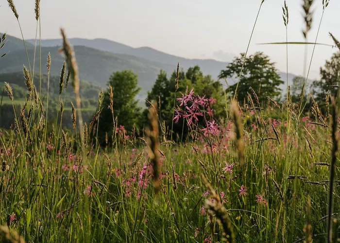 Pod Pilskiem - Sauna I Jacuzzi W Cenie קורבילו